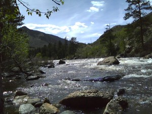 poudre river in spring