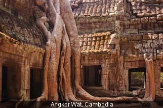 Plant-Housing Structure in Cambodia